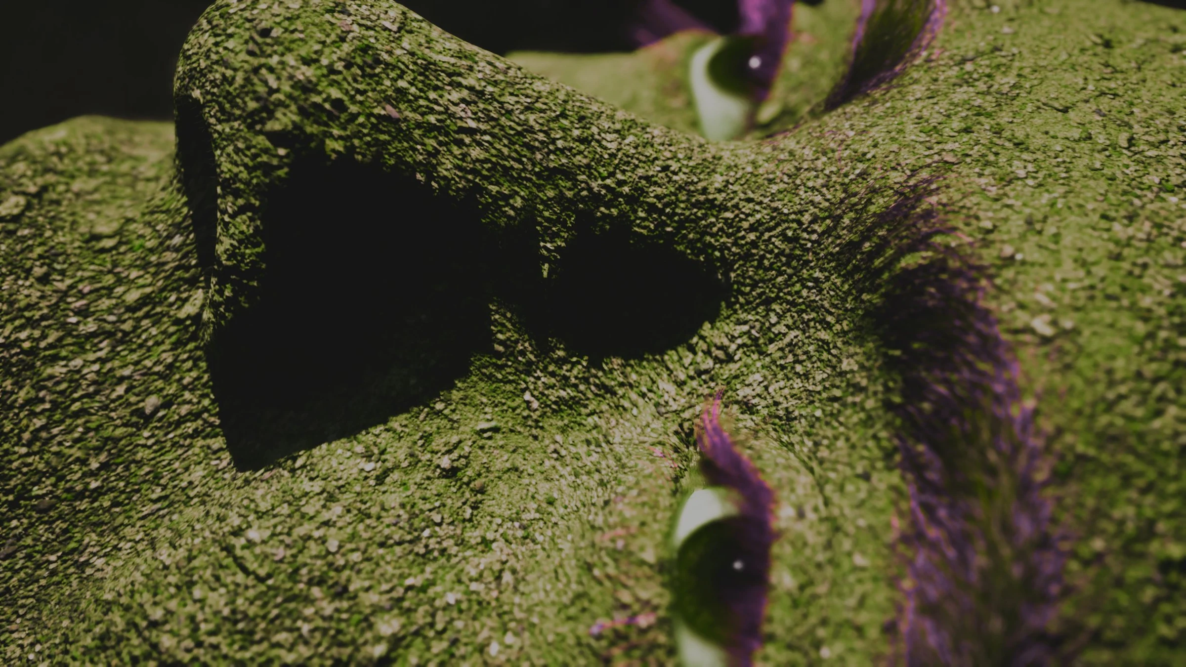 Ana Mendieta might — image 3