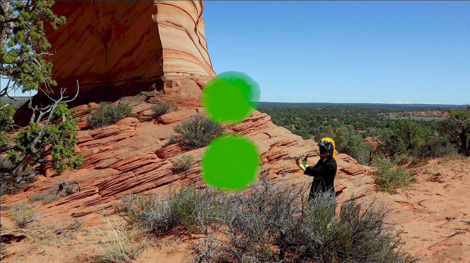 Treatise on Rhythm, Color, and Birdsong (2020) — image 6