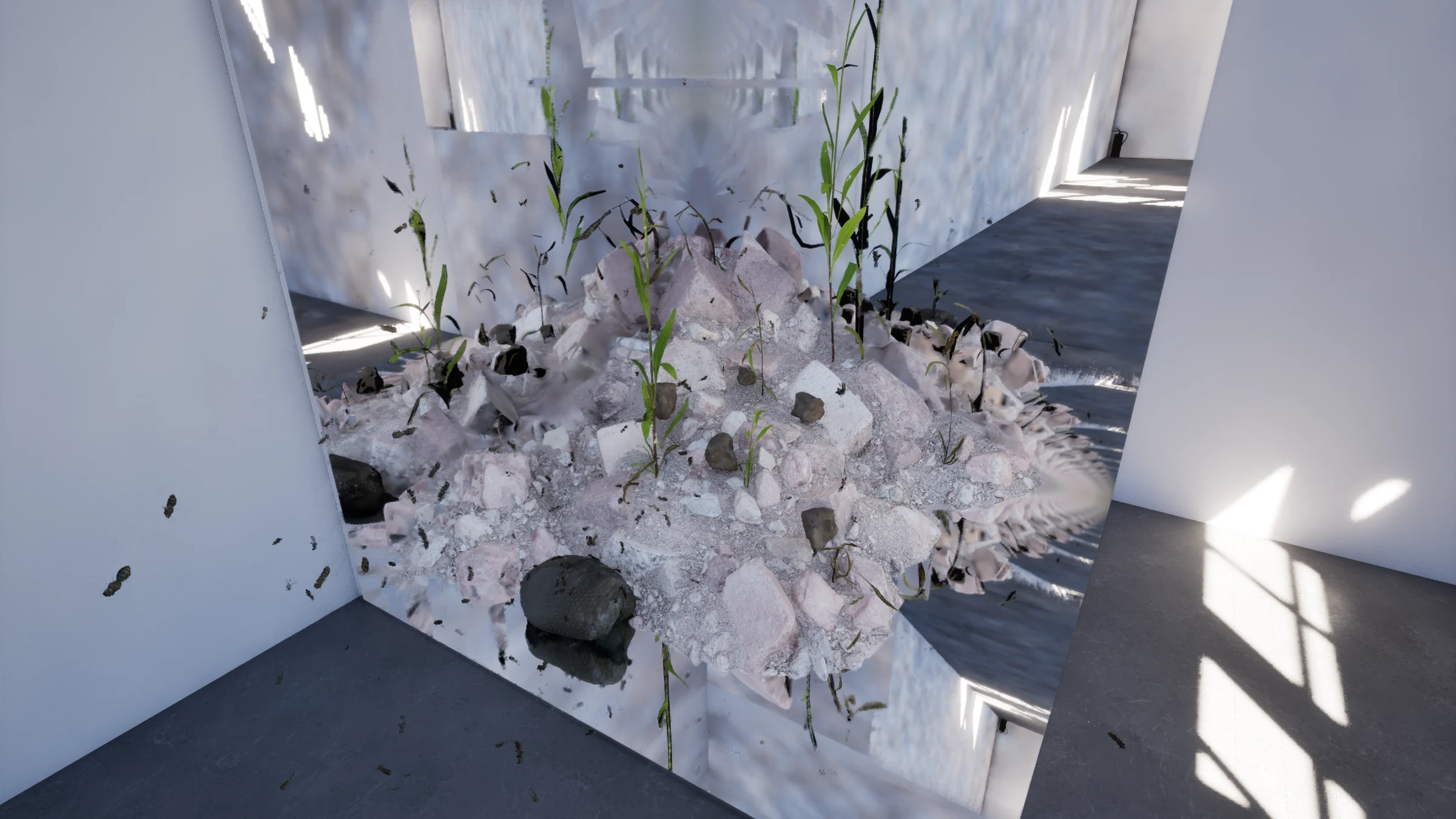 Toward Entropy — image 5