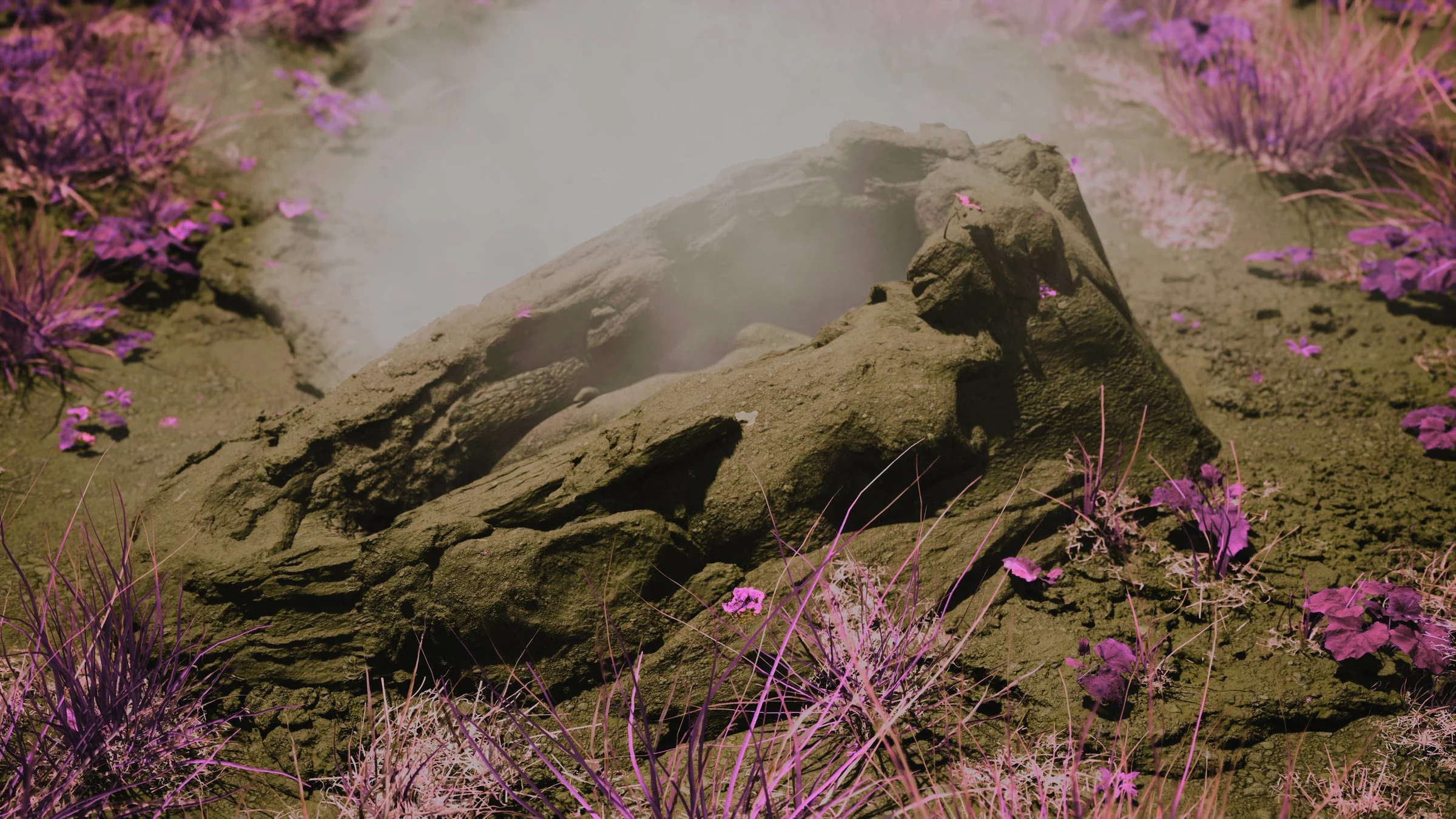 Ana Mendieta might — image 6